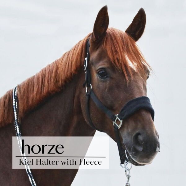 幅広フリース無口 フルサイズ 馬術 乗馬用品 馬 ホルター 頭絡 黒