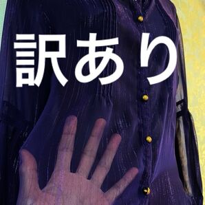 【訳あり】【評価を下げない方だけ】 ラメがキラリ! シアー シャツ