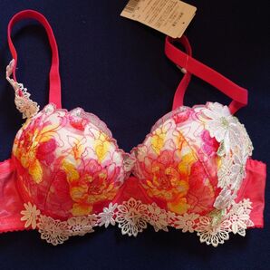 ワコール サルート ブラジャー