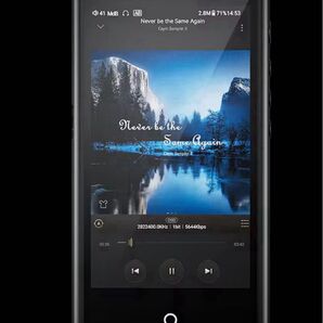 cayin n7 新品 開封済 技適有