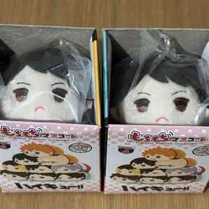 ハイキュー!! もちもちマスコット vol.4 及川徹 もちマス