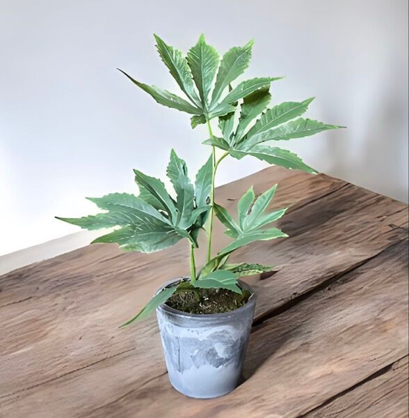 光触媒 フェイクグリーン マリファナ 人工観葉植物 大麻 造花 草 CBD49