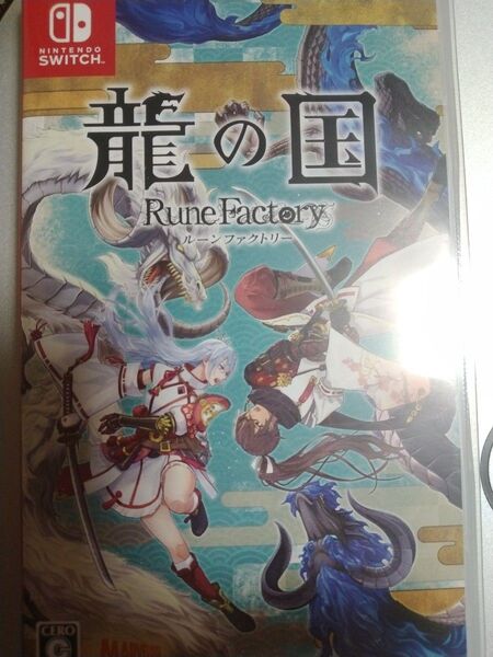 龍の国ルーンファクトリーswitchソフト