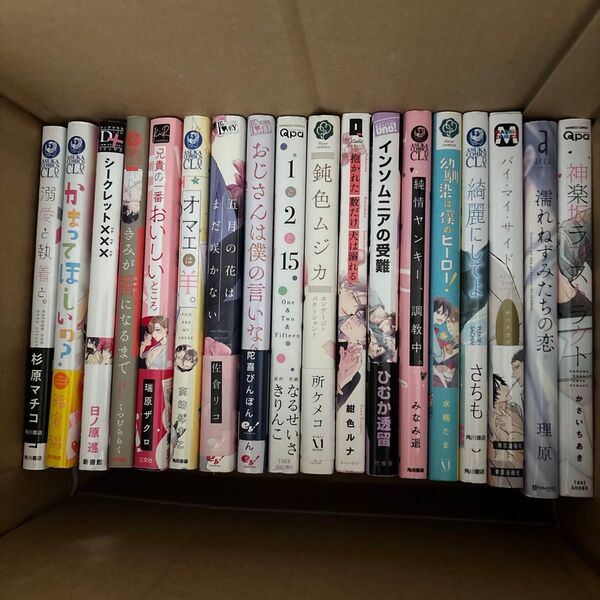 BLコミック まとめ売り 40冊