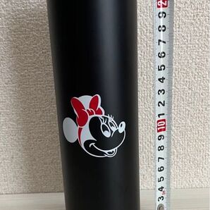 ディズニー タンブラー 水筒 ステンレスボトル
