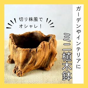 B 切り株 植木鉢 陶器製 ガーデニング 雑貨 インテリア ベランダ 園芸 置物 プランター 切り株風 盆栽 ミニサイズ