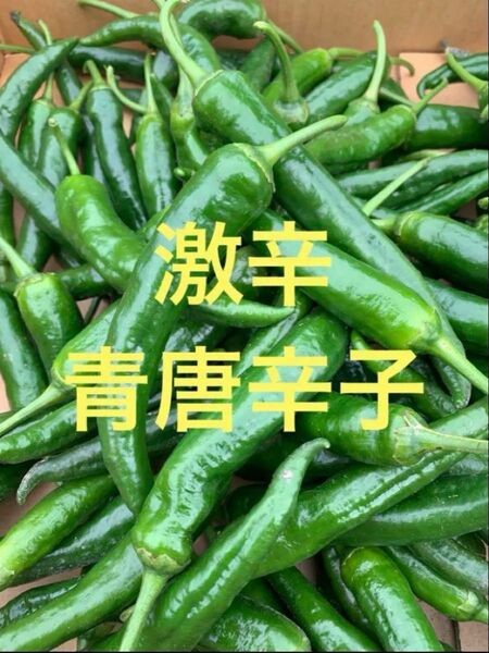激辛 唐辛子 1キロ