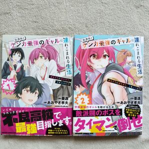 【同梱で合計から150円引】放課後はケンカ最強のギャルに連れこまれる生活 既刊全2巻セット
