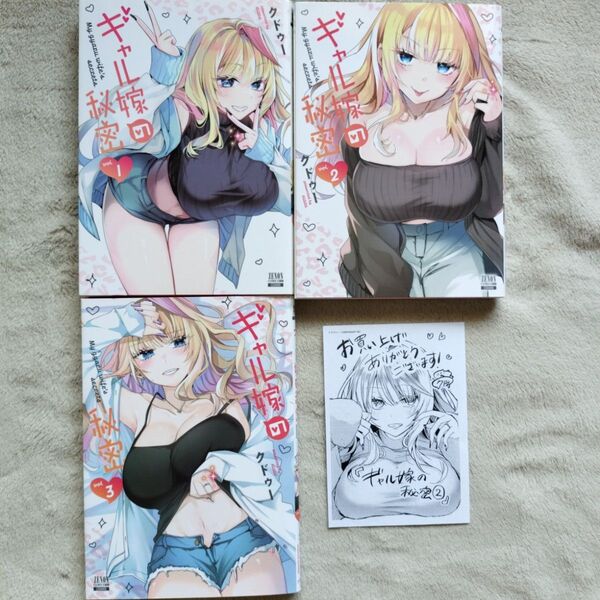 【人気作品】ギャル嫁の秘密 既刊全3巻セット
