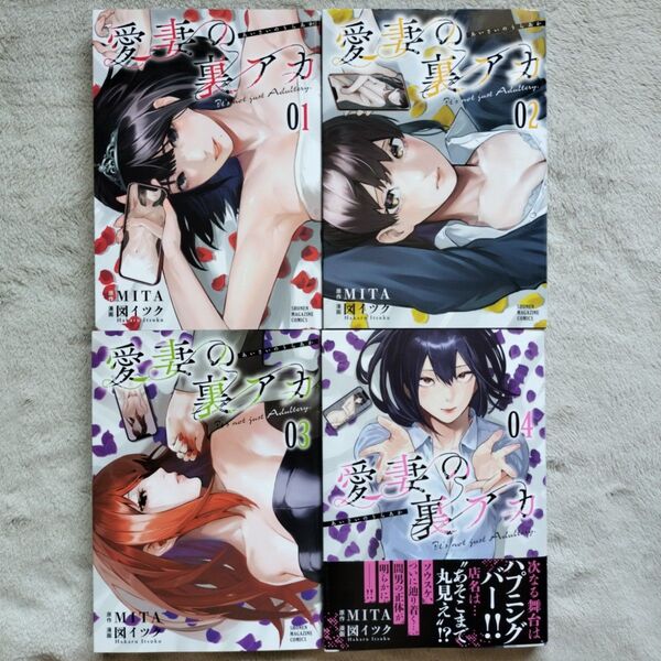 【人気作品】愛妻の裏アカ 既刊全4巻セット
