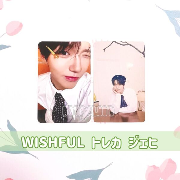 NCT WISH WISHFUL ジェヒ トレカ