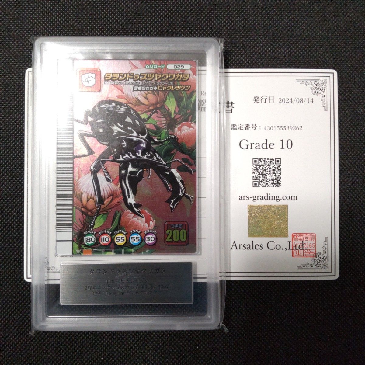 タランドゥスツヤクワガタ 2003 AUTUMN ARS10 PSA10相当 PSA10 タランドゥスツヤクワガタ 2003 AUTUMN|Yahoo!フリマ(旧
