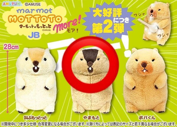 アー! マーモットのもっとっとモア ぬいぐるみ やまもと 約28センチ