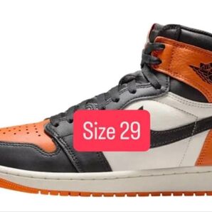 【新品未使用】29.0cm 2025 Nike Air Jordan 1 Retro High OG シャタバ