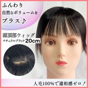【20cmナチュラルブラック】人毛100% 頭頂部ウィッグ 20cm つむじウィッグ 部分