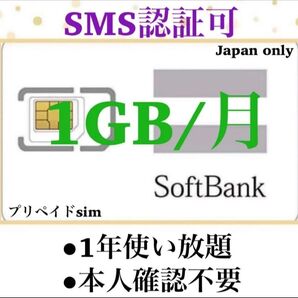 SoftBank プリペイドSIM データ通信 1GB/受信可能 sms認証 ③