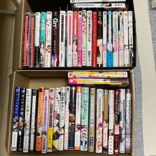 2冊 800円 BL まとめ売り 6/14追加