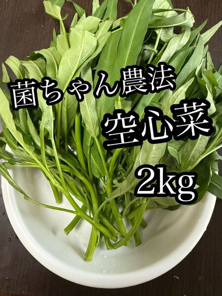 和歌山県産 空芯菜 2kg 菌ちゃん農法 【農薬・化学肥料・動物性肥料不使用】