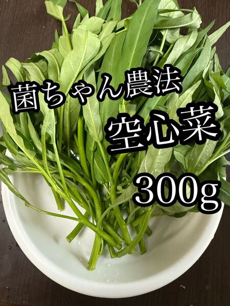和歌山県産 空芯菜 300g 菌ちゃん農法 【農薬・化学肥料・動物性肥料不使用】