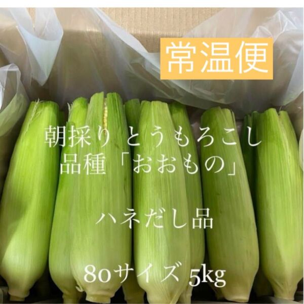 とうもろこし ハネ出し品【常温便】「黄色」☆茨城県よりお届け