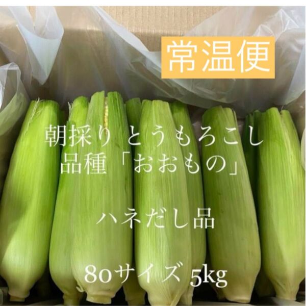 とうもろこし ハネ出し品【常温便】☆今シーズンも食べ納め!