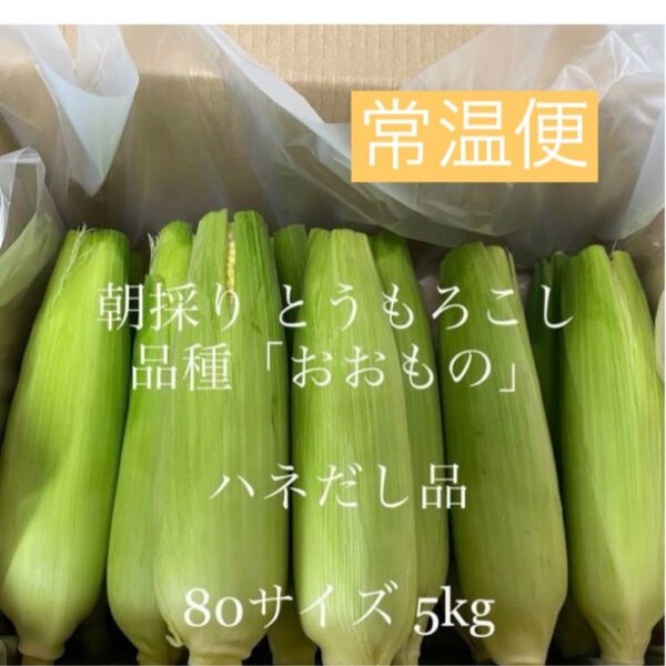 とうもろこし ハネ出し品【常温便】☆☆今シーズンも食べ納め!