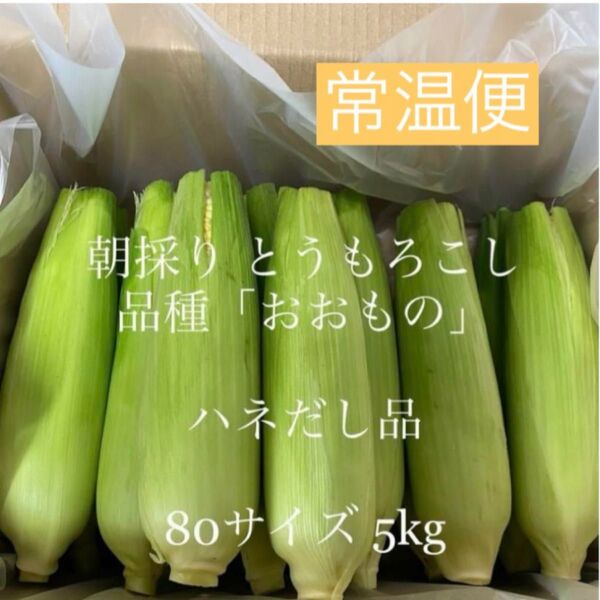 とうもろこし ハネ出し品【常温便】産地直送☆茨城県よりお届け