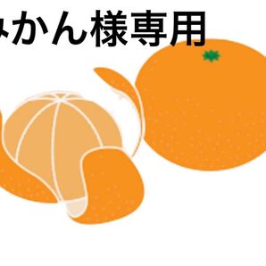 みかん様専用