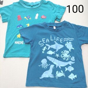 海の生き物柄 半袖 Tシャツ 100 2枚セット