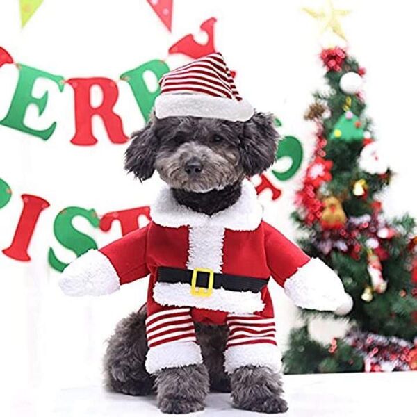 クリスマス 犬服 猫服 サンタ コスチューム 帽子付き 犬用 服 猫用 かわいい サンタクロース コスプレ ペット服 秋冬 暖かい