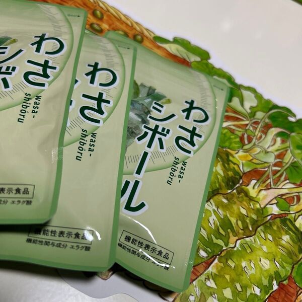 届きたて!わさシボール 3袋 即日発送! マイケア サプリ サプリ
