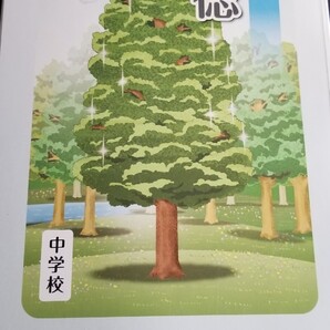 中学校 私たちの道徳