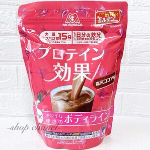 新品★森永製菓 ウイダー プロテイン効果 森永ココア味660g