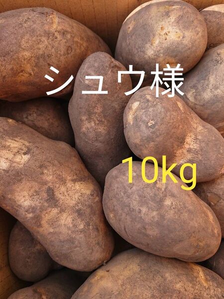 北海道十勝産メークイン(じゃがいも)