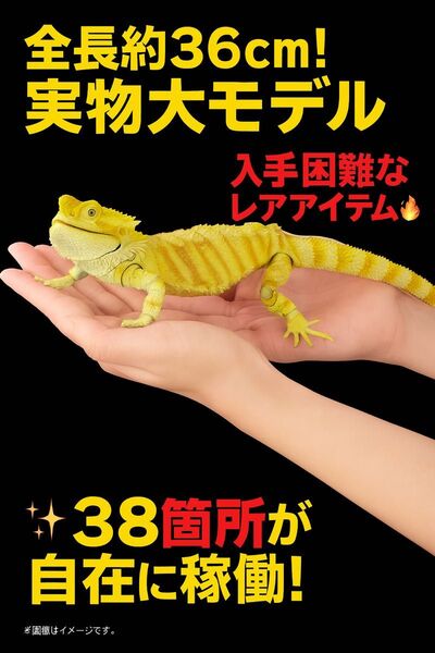 いきもの大図鑑 プレミアム フトアゴヒゲトカゲ イエロー 激レア 爬虫類 フトアゴ レオパ ゲッコー