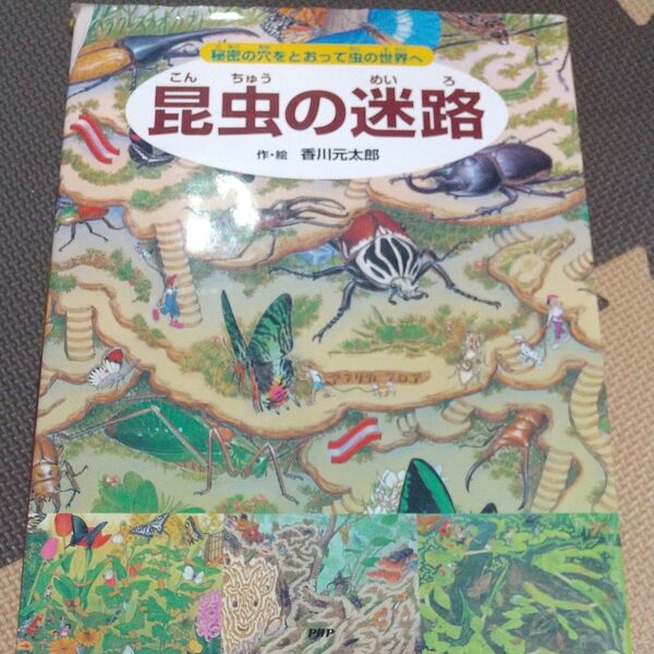 昆虫の迷路 秘密の穴をとおって虫の世界へ 香川元太郎/作・絵 小野展嗣/監修