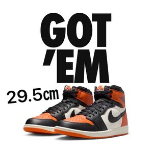 29.5cm シャタバ ナイキ Nike Air Jordan エアジョーダン1