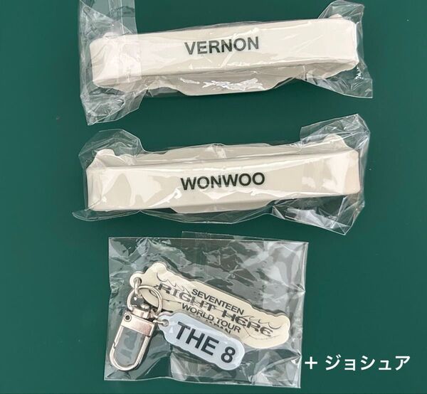 SEVENTEEN ラバーバンド キーホルダー ウォヌ バーノン ミョンホ ジョシュア