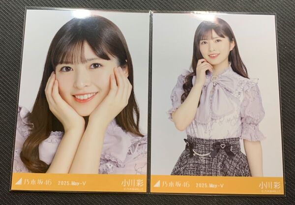 乃木坂46生写真 小川彩 ビッグボウタイブラウス ヨリ、チュウ