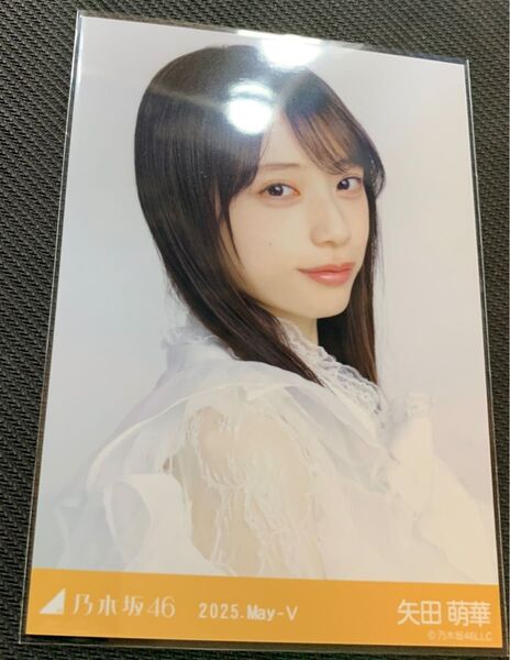 乃木坂46 生写真 ビックボウタイブラウス 矢田萌華 ヨリ