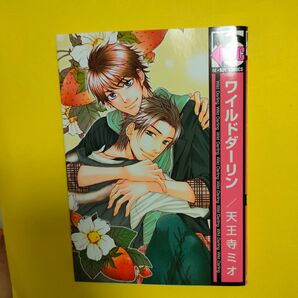BLコミック漫画 「ワイルドダーリン」天王寺ミオ