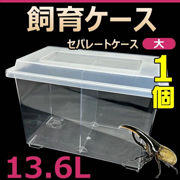 飼育ケース セパレートケース 大 13.6L 新品 1個 カブトムシ・クワガタ 成虫飼育に最適 コバエ抑制 虫かご 昆虫 飼育容器