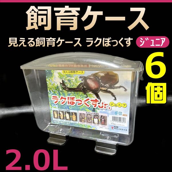 飼育ケース 見える飼育ケース ラクぼっくす Jr ジュニア 2.0L 新品 6個 カブトムシ 羽化観察ケース コバエ抑制