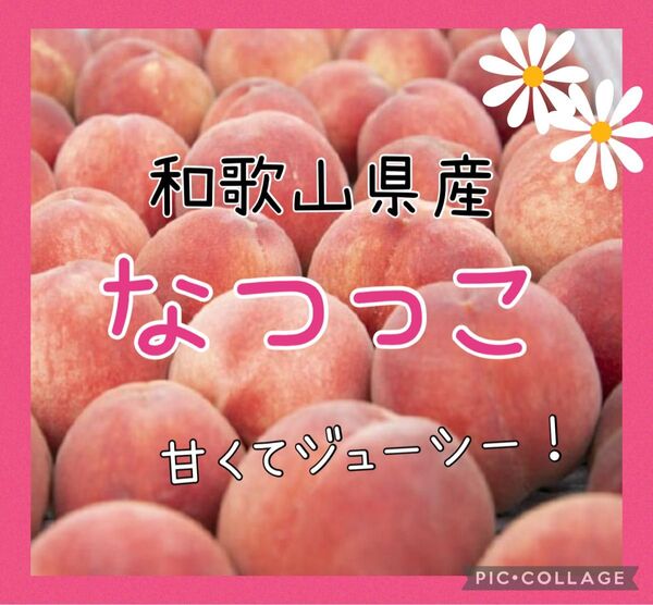 和歌山県産 桃 なつっこ 家庭用 5玉〜7玉(15日以降発送予定
