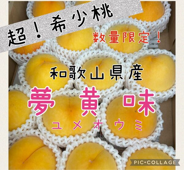 和歌山県産 超希少桃 夢黄味 6玉 送料箱代込み