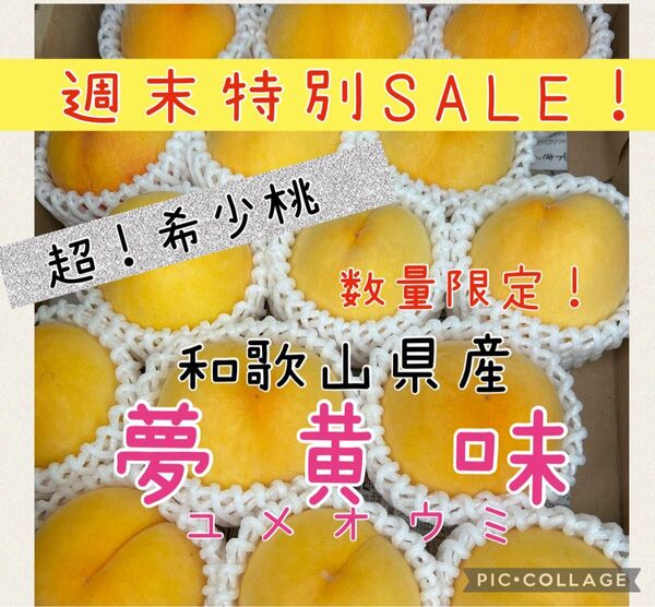 特別SALE!和歌山県産 超希少桃 夢黄味 6玉 送料箱代込み