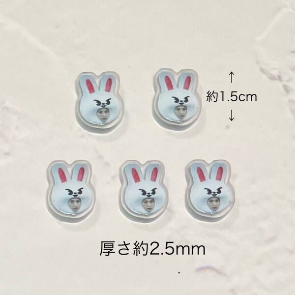 【1セット限定】アクスタが入るスマホケース用 シャカシャカシェイカー用 アクリルパーツ Stray Kids スキズ リノ セット