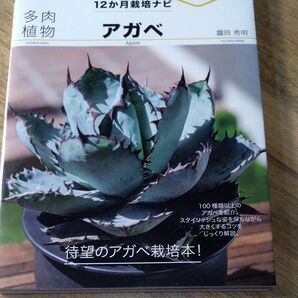 多肉植物アガベ (NHK趣味の園芸 12か月栽培ナビNEO) 鶴岡秀明/著