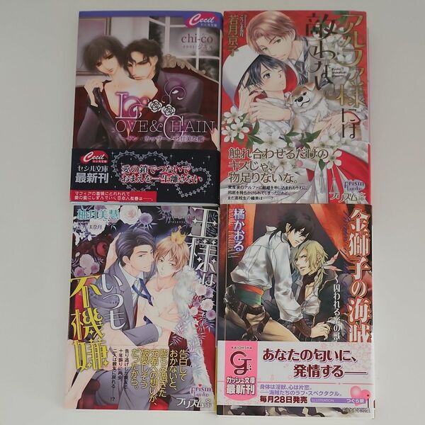 BL小説 若月京子.chiーco.橘かおる.柚月美慧 4冊セット