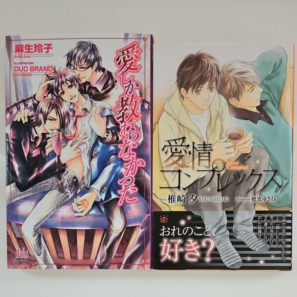 椎崎夕.麻生玲子 BL小説2冊セット